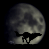 wolfagress